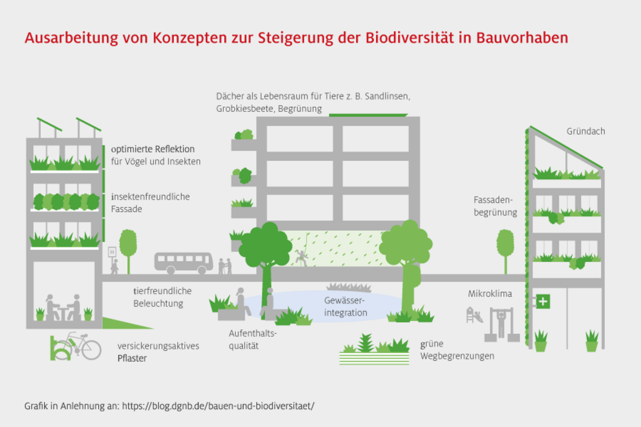 Schaugrafik über Maßnahmen für Biodiversität in der Standortentwicklung Neubau
