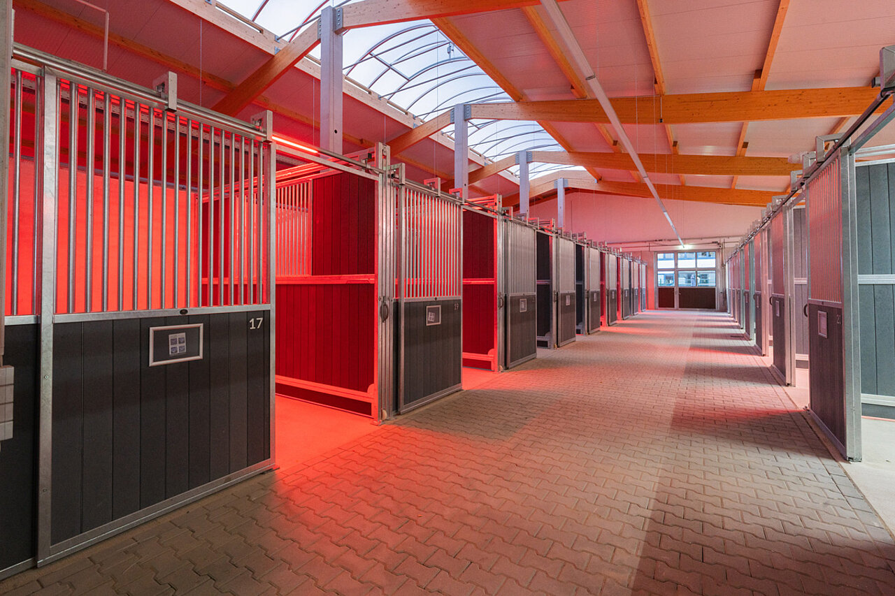 Pferdeboxen mit Kontaktgittern, Oberlicht und roter Stallbeleuchtung