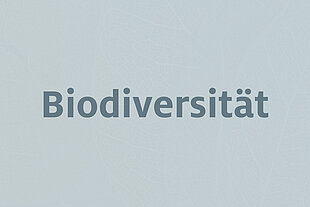 Hellblauer Hintergrund mit Blattstruktur als Vorschau für die Biodiversitaetsberatung